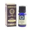 1716_1 Olejek esencjonalny 10 ml - Eucalyptus