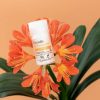 Acorelle Dezodorant w kulce - kwiatowa świeżość 50 ml (ważność:  31.05.2026)