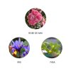 Ekskluzywna ekologiczna woda perfumowana, zapach: Camina - Provence, buteleczka, Zero Waste, 11 ml, FiiLiT