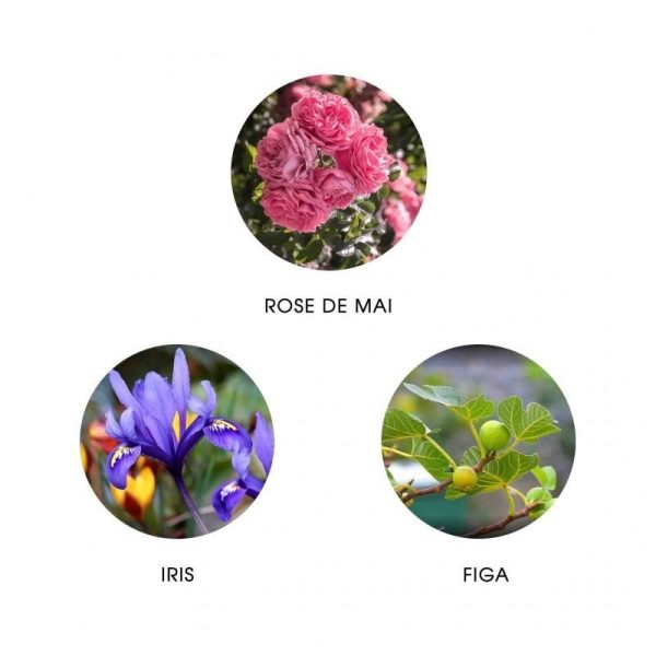 Ekskluzywna ekologiczna woda perfumowana, zapach: Camina - Provence, buteleczka, Zero Waste, 11 ml, FiiLiT