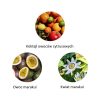 Ekskluzywna ekologiczna woda perfumowana, zapach: Saudade - Amazonia, buteleczka, Zero Waste, 11 ml, FiiLiT
