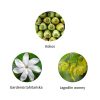 Ekskluzywna ekologiczna woda perfumowana, zapach: Tehani - Polynesie, buteleczka, Zero waste, 11 ml, FiiLiT