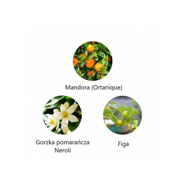 Ekskluzywna ekologiczna woda perfumowana, zapach: Amante - Andalucia, buteleczka, Zero Waste, 11 ml, FiiLiT (zdjęcie 2) Ekskluzywna ekologiczna woda perfumowana, zapach: Amante - Andalucia, buteleczka, Zero Waste, 11 ml, FiiLiT