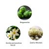 Ekskluzywna ekologiczna woda perfumowana, zapach: Irida - Cyclades, buteleczka, Zero Waste, 11 ml, FiiLiT (zdjęcie 2) Ekskluzywna ekologiczna woda perfumowana, zapach: Irida - Cyclades, buteleczka, Zero Waste, 11 ml, FiiLiT