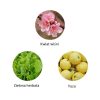 Ekskluzywna ekologiczna woda perfumowana, zapach: Kado - Japon, buteleczka, Zero Waste, 11 ml, FiiLiT (zdjęcie 2) Ekskluzywna ekologiczna woda perfumowana, zapach: Kado - Japon, buteleczka, Zero Waste, 11 ml, FiiLiT