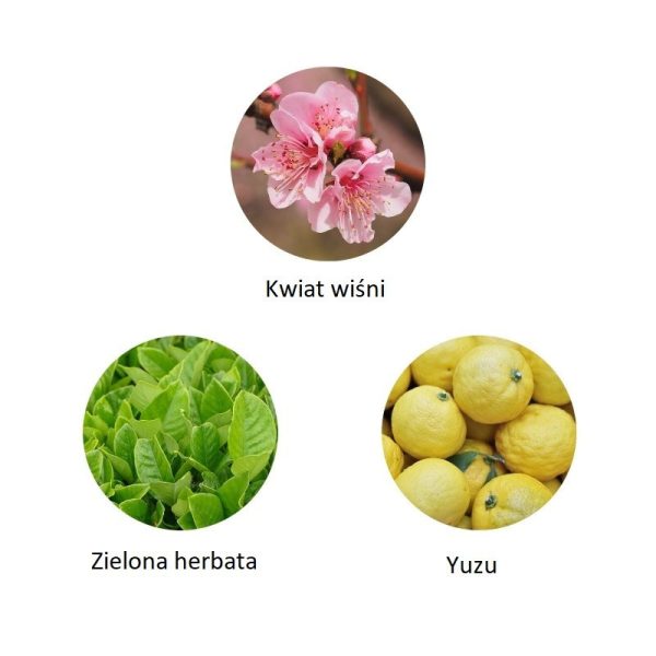 Ekskluzywna ekologiczna woda perfumowana, zapach: Kado - Japon, buteleczka, Zero Waste, 11 ml, FiiLiT (zdjęcie 2) Ekskluzywna ekologiczna woda perfumowana, zapach: Kado - Japon, buteleczka, Zero Waste, 11 ml, FiiLiT