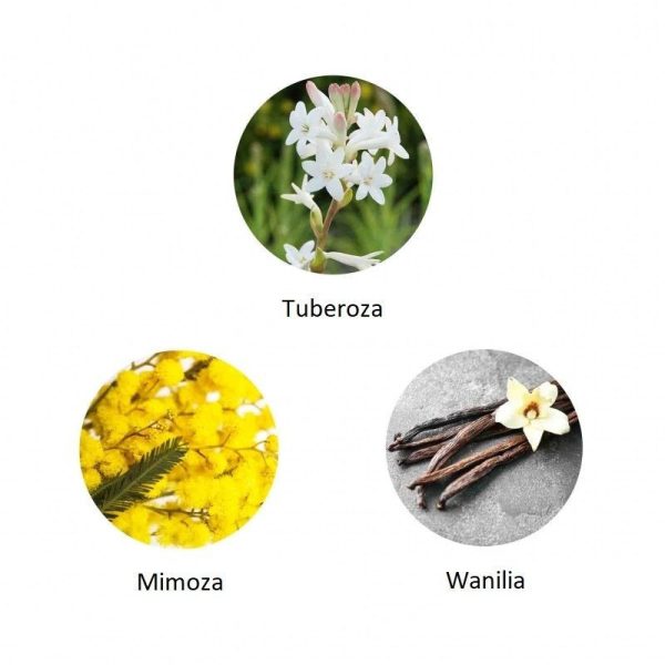 Ekskluzywna ekologiczna woda perfumowana, zapach: La Perla Maya - Yucatan, buteleczka, Zero Waste, 11 ml, FiiLiT (zdjęcie 2) Ekskluzywna ekologiczna woda perfumowana, zapach: La Perla Maya - Yucatan, buteleczka, Zero Waste, 11 ml, FiiLiT
