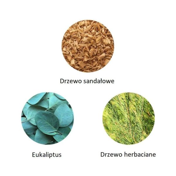 Ekskluzywna ekologiczna woda perfumowana, zapach: Le Temps des Songes - Australia, buteleczka, Zero Waste, 11 ml, FiiLiT (zdjęcie 2) Ekskluzywna ekologiczna woda perfumowana, zapach: Le Temps des Songes - Australia, buteleczka, Zero Waste, 11 ml, FiiLiT