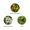 Ekskluzywna ekologiczna woda perfumowana, zapach: Mazhar - Atlas, buteleczka, Zero Waste, 11 ml, FiiLiT (zdjęcie 2) Ekskluzywna ekologiczna woda perfumowana, zapach: Mazhar - Atlas, buteleczka, Zero Waste, 11 ml, FiiLiT