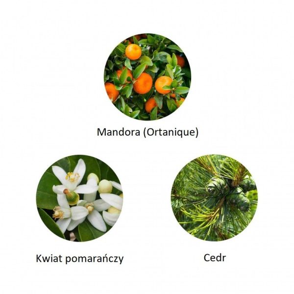 Ekskluzywna ekologiczna woda perfumowana, zapach: Mazhar - Atlas, buteleczka, Zero Waste, 11 ml, FiiLiT (zdjęcie 2) Ekskluzywna ekologiczna woda perfumowana, zapach: Mazhar - Atlas, buteleczka, Zero Waste, 11 ml, FiiLiT