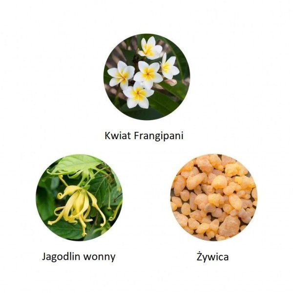 Ekskluzywna ekologiczna woda perfumowana, zapach: Surya - Bali, buteleczka, Zero Waste, 11 ml, FiiLiT (zdjęcie 2) Ekskluzywna ekologiczna woda perfumowana, zapach: Surya - Bali, buteleczka, Zero Waste, 11 ml, FiiLiT