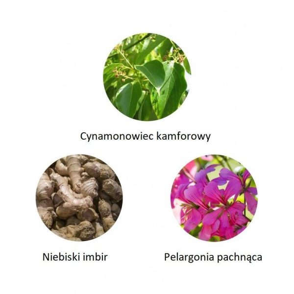 Ekskluzywna ekologiczna woda perfumowana, zapach: Waka-Madagascar, buteleczka, Zero Waste, 11 ml, Cosmos Natural, FiiLiT (zdjęcie 2) Ekskluzywna ekologiczna woda perfumowana, zapach: Waka-Madagascar, buteleczka, Zero Waste, 11 ml, Cosmos Natural, FiiLiT