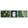 Organiczny olejek z baobabu, nawilżający, do skóry i włosów, Zero Waste, 100 ml, Eliah Sahil (zdjęcie 3) Organiczny olejek z baobabu, nawilżający, do skóry i włosów, Zero Waste, 100 ml, Eliah Sahil