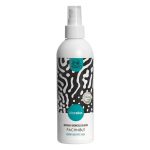 Pachnibut, naturalny odświeżacz do butów, Różowy Grejpfrut, Mięta, 250 ml, Klareko