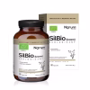 SilBio – krzem z bambusa, 60 kapsułek