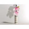 Dezodorant w sztyfcie CHIC MAGNOLIA (FABULOUS FIG), certyfikowany, bez aluminium, 40g, We Love The Planet